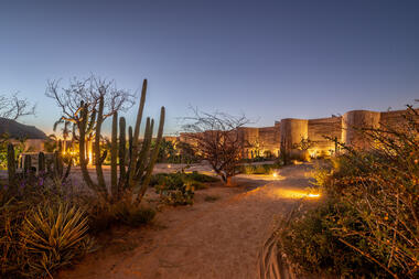 Gallery of Paradero Hotel / POLEN Arquitectura de Paisaje + Yashar Yektajo + Rubén Valdez  - 18