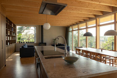 Gallery of Villa Ingarö / Max Holst Arkitektkontor  - 13