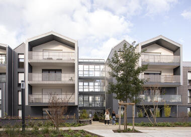 Le Safran 50 Housing Units / ALTA