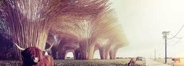 Visualización en Arquitectura: Plankton Group