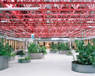 A6K Workspace / Traumnovelle