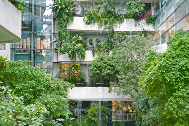 50 Shades of Green: The Contradictions of Greenwashing in Architecture