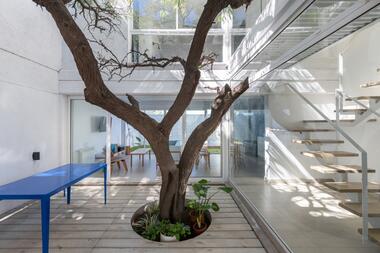 Galería de Tres casas y un algarrobo / BALDIO ARQUITECTURA  - 2