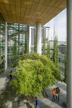 CREATE / Perkins+Will