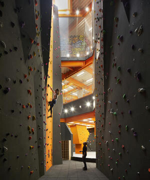 Gallery of F51 Folkestone Skatepark / Hollaway Studio  - 19