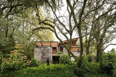 Gallery of Houses in the Forest: Examples That Dialogue with the Environment in Latin America  - 3