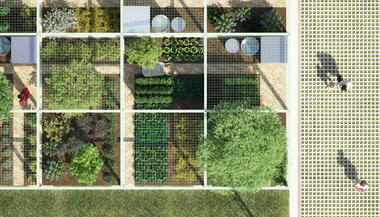 Health and Nutrition: 9 Ways for Architecture and Urbanism to Act Towards Healthier Realities