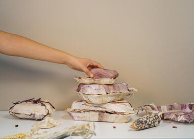 5 Designers Explore the Possibilities of Biomaterials in Mexico