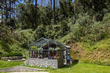 Galería de Invernadero Araucaria / Angá Arquitetura  - 1