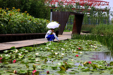 Parque Houtan en Shanghai / Turenscape