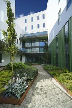 Hospital Psiquiátrico Kronstad / Origo Arkitektgruppe