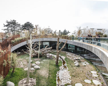 Centro de Observación de Pandas / BIG