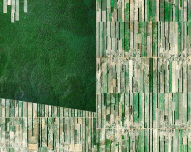 Paisajes rurales: como la producción de alimentos da forma al territorio