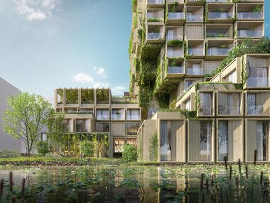 为野生动植物创造空间，阿姆斯特丹新住宅区