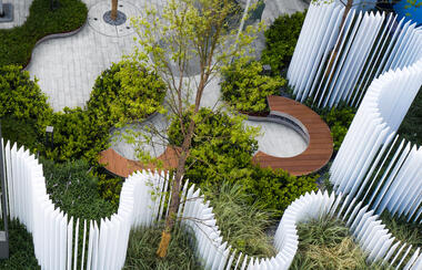 The Main Problems in Landscape Design — And How to Avoid Them