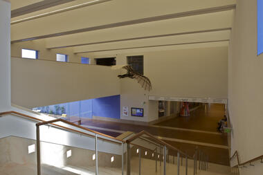 Gallery of Fort Worth Museum of Science and History / LEGORRETA  - 23