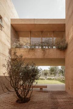 Gallery of Tejocote House / González Muchow Arquitectura  - 8