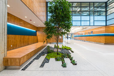 Why is Terrazzo Considered One of the Original Sustainable Floors? 