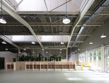 The Poppy Factory / Henley Halebrown