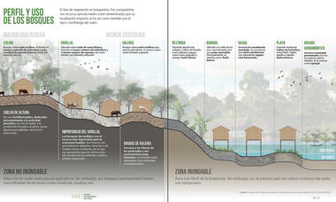 Galería de Convivir en la Amazonía en el Siglo XXI: Guía de planificación y diseño urbano para las ciudades en la selva baja peruana  - 2