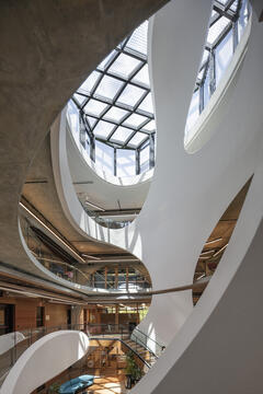 画廊 维多利亚傲娇中心 / BAU Brearley Architects + Urbanists  - 13