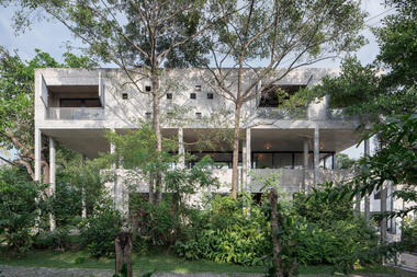 Gallery of Big Trees Small Plants House / Read Studio  - 6