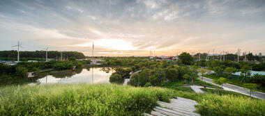 Gallery of Center of Excellence for Forest Conservation / Architects 49  - 15