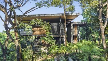 Raintree House / Studio Saxe