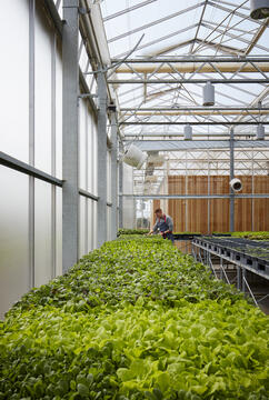 Gallery of Granor Greenhouse / Wheeler Kearns Architects  - 3
