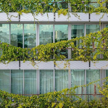 Wire Mesh and Cables in Monad Terrace from Jakob