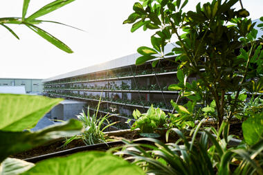Gallery of Green Walls in Jakob Saigon Factory - 5
