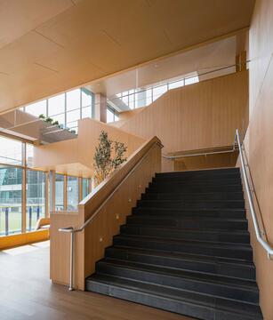 画廊 上海德英乐学院综合教学楼 / 普泛建筑  - 15