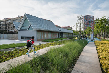 What Are Artificial Wetlands and How Do They Work?