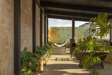 Gallery of What Is Biophilic Design? Examples of Apartments Integrating These Principles in Mexico  - 15
