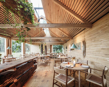 Galería de Interiores biofílicos: 21 proyectos que fusionan la arquitectura con la naturaleza  - 14