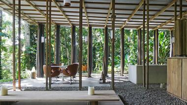 Galería de Casa abierta en la jungla / Ksymena Borczynska  - 5