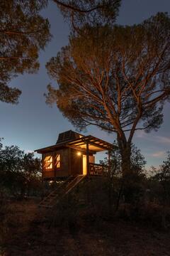 Gallery of Columba Tree House / Madeiguincho  - 17