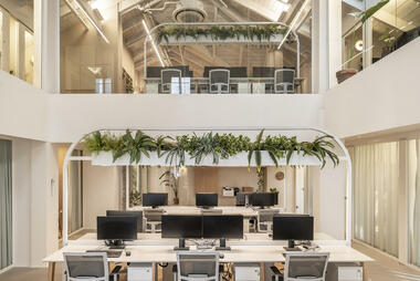 Gallery of 4 Ways to Bring Biophilia Into the Urban Workspace  - 5