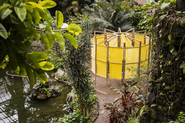 Natural Construído Installation / Colectivo Warehouse