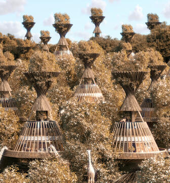 Gallery of A Luxury Safari Resort in Africa and an Eco-Lodge in Rural Greece: 8 Unbuilt Resorts Submitted by the ArchDaily Community  - 42