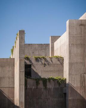 Gallery of Cortés Sea Research Center / Tatiana Bilbao  - 5