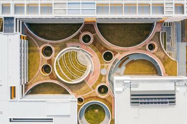 Gallery of Biophilic Landscaping in Educational Spaces: Stimulating Learning, Well-Being and Creativity   - 17