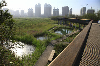Galería de Qunli, Parque de Humedales y Aguas-Lluvias / Turenscape  - 12