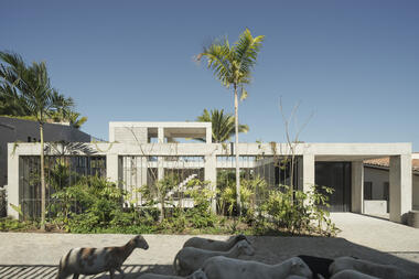 NICO Sayulita / Hybrid + PALMA