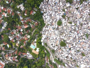 Se o dinheiro não cresce em árvore, árvores tendem a crescer mais próximas ao dinheiro