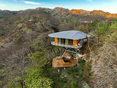 Gallery of Suitree Experience Hotel / Studio Saxe  - 8