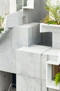 Galería de Casa Tree-ness / Akihisa Hirata  - 22