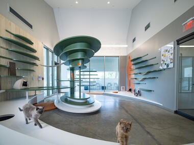 Gallery of Pet Resource Center / RA-DA  - 5