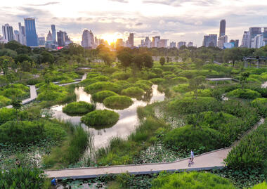 Gallery of 6 Successful City Park Projects That Are Hotspots for Biodiversity  - 1