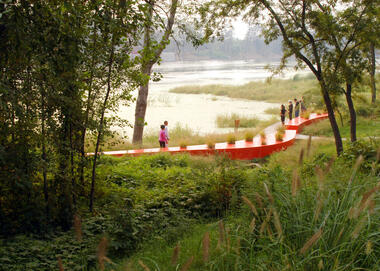 Gallery of 6 Successful City Park Projects That Are Hotspots for Biodiversity  - 5